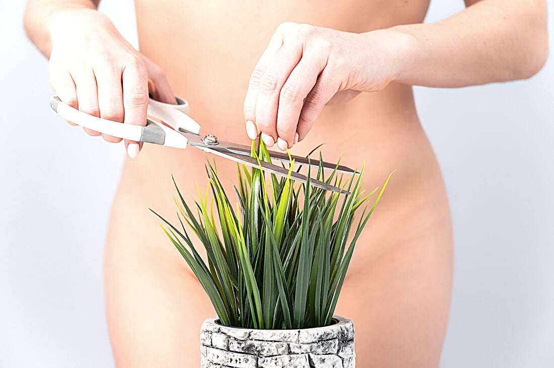 A Naked Faceless Woman Cuts a Bush. Epilation of the Bikini Zone on a White Background